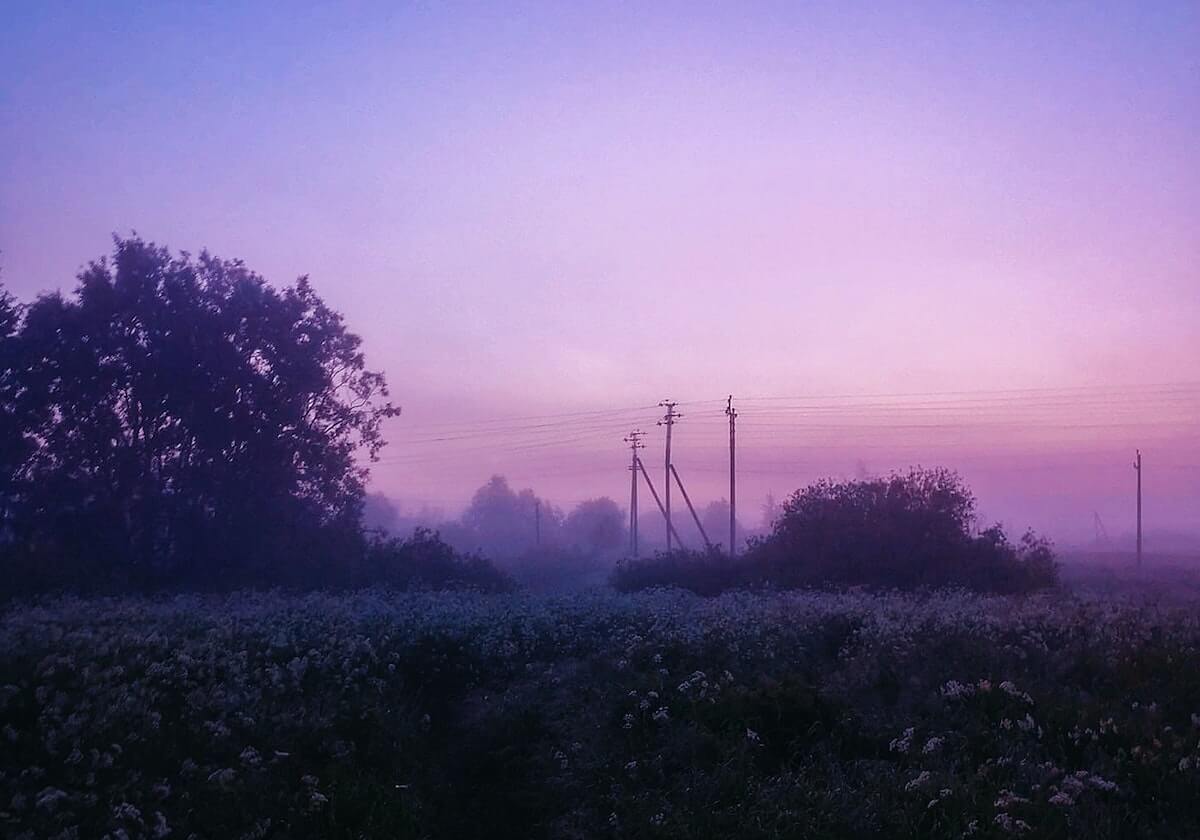 开云入口-德约科维奇：饮食模式改变网球生涯